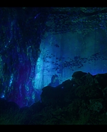 Fate_The_Winx_Saga_S01E01_1080p_007280.jpg